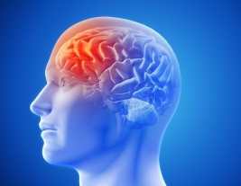 ¿Qué es el Daño Traumático Cerebral?